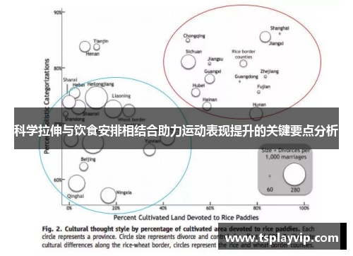 科学拉伸与饮食安排相结合助力运动表现提升的关键要点分析